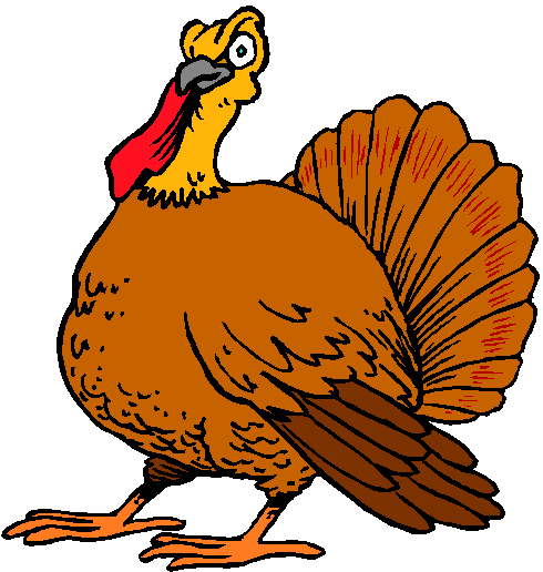 Thanksgiving Turkey