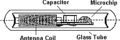 Inside a microchip