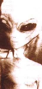 Grey Alien